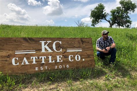 Kc cattle company - 